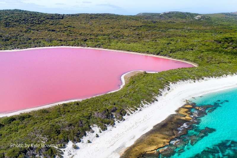 Pink lake 