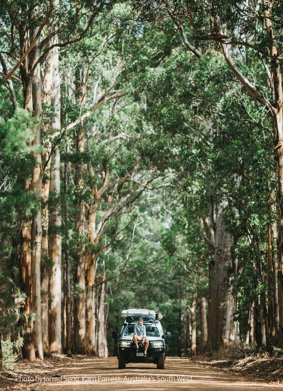 Jarrad Seng Karri Forrest