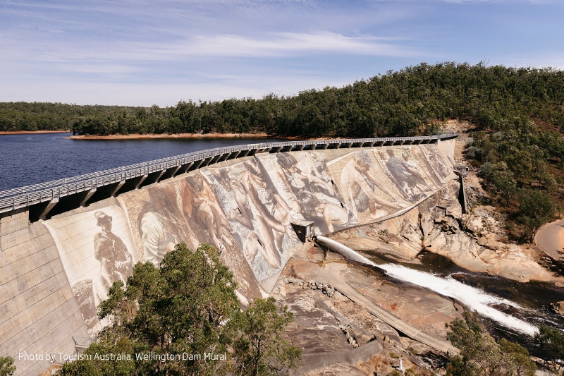 DAY 1 PERTH – WELLINGTON NATIONAL PARK