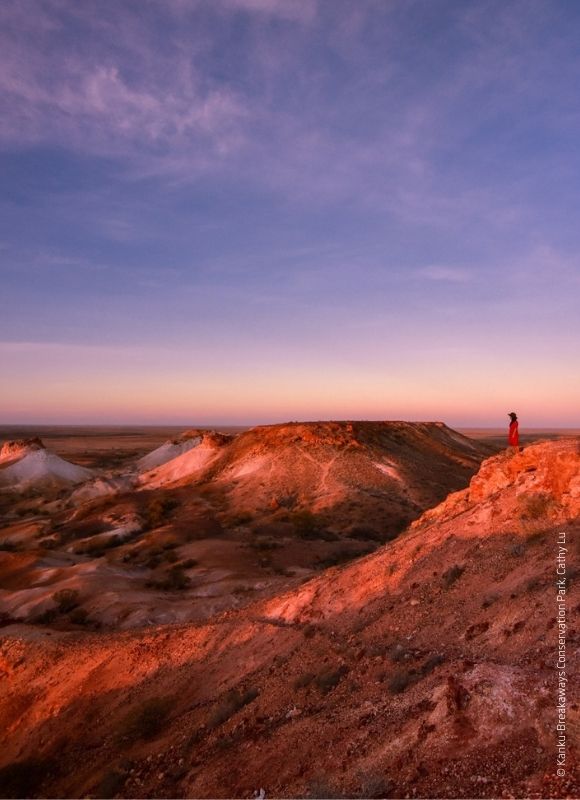DAY 14 OODNADATTA – COOBER PEDY