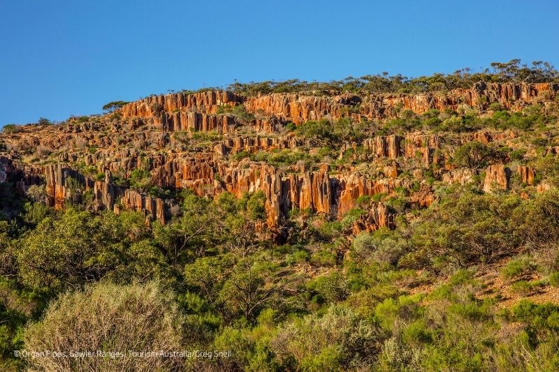 DAY 17 GAWLER RANGES