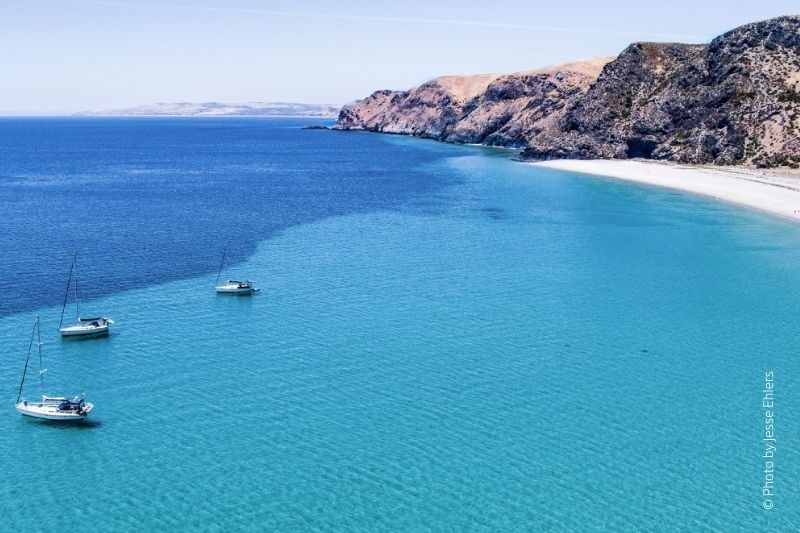 DAY 2 RAPID BAY – KANGAROO ISLAND