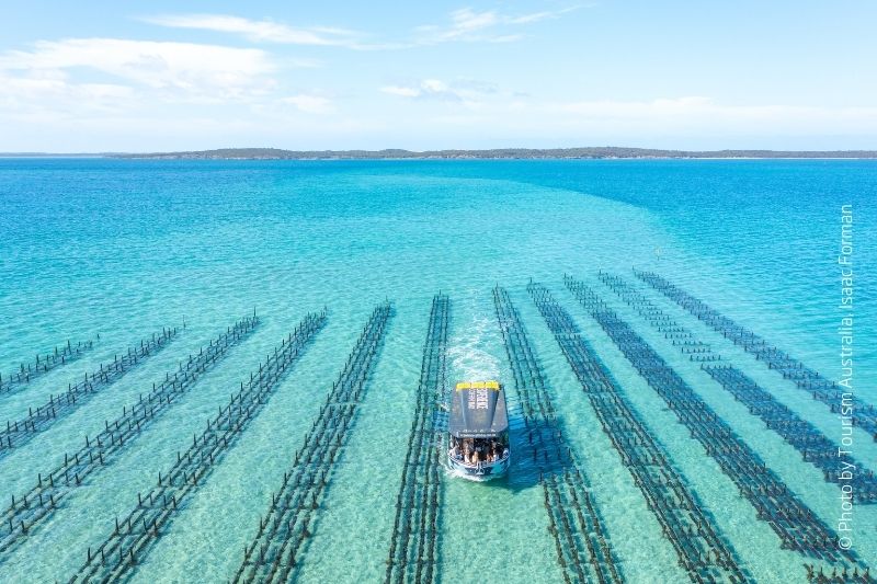 DAY 20 STREAKY BAY – COFFIN BAY