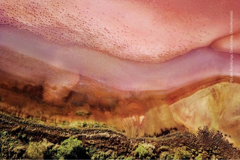 DAY 27 EDITHBURGH TO HUMMOCKS STATION