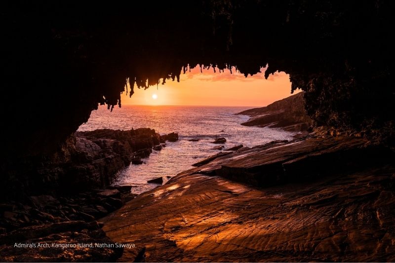 DAY 3 KANGAROO ISLAND