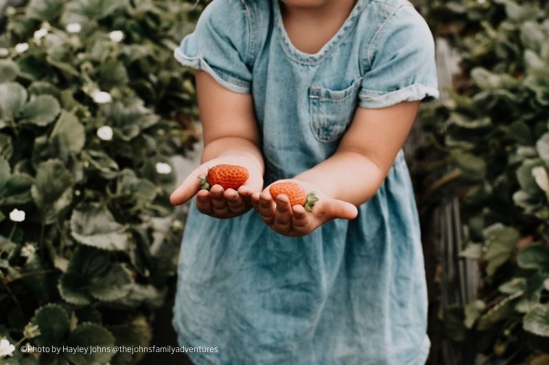 DAY 5 DEEP CREEK NATIONAL PARK – MCLAREN VALE