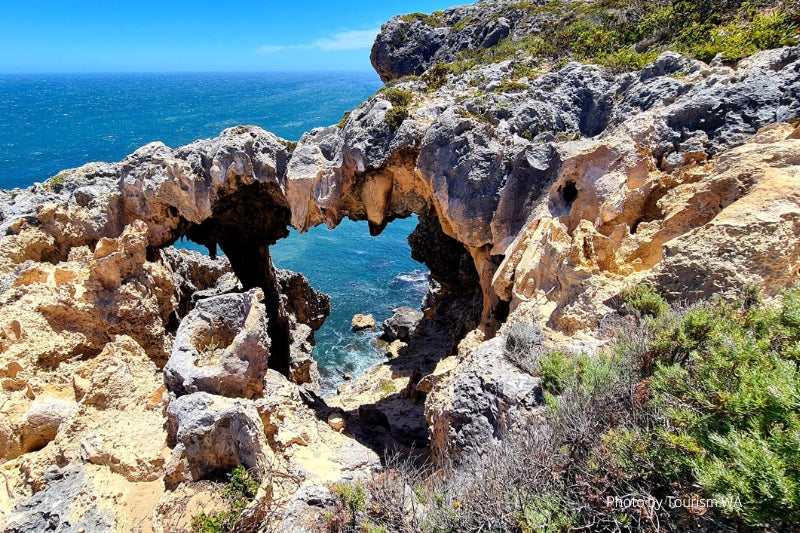 DAY 6 PEMBERTON – WALPOLE