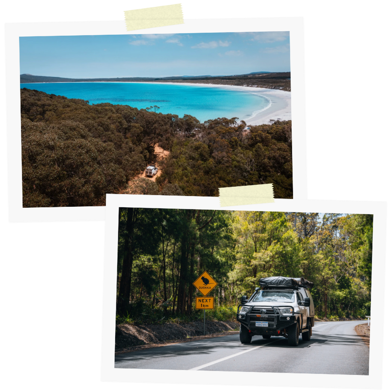 Summer (November - March)